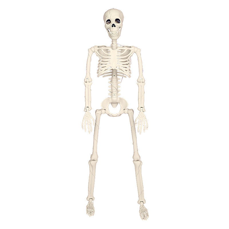 for Halloween Skeletons Decor Yard Patio Lawn Garden Skeleton Props Spooky Party Decoration